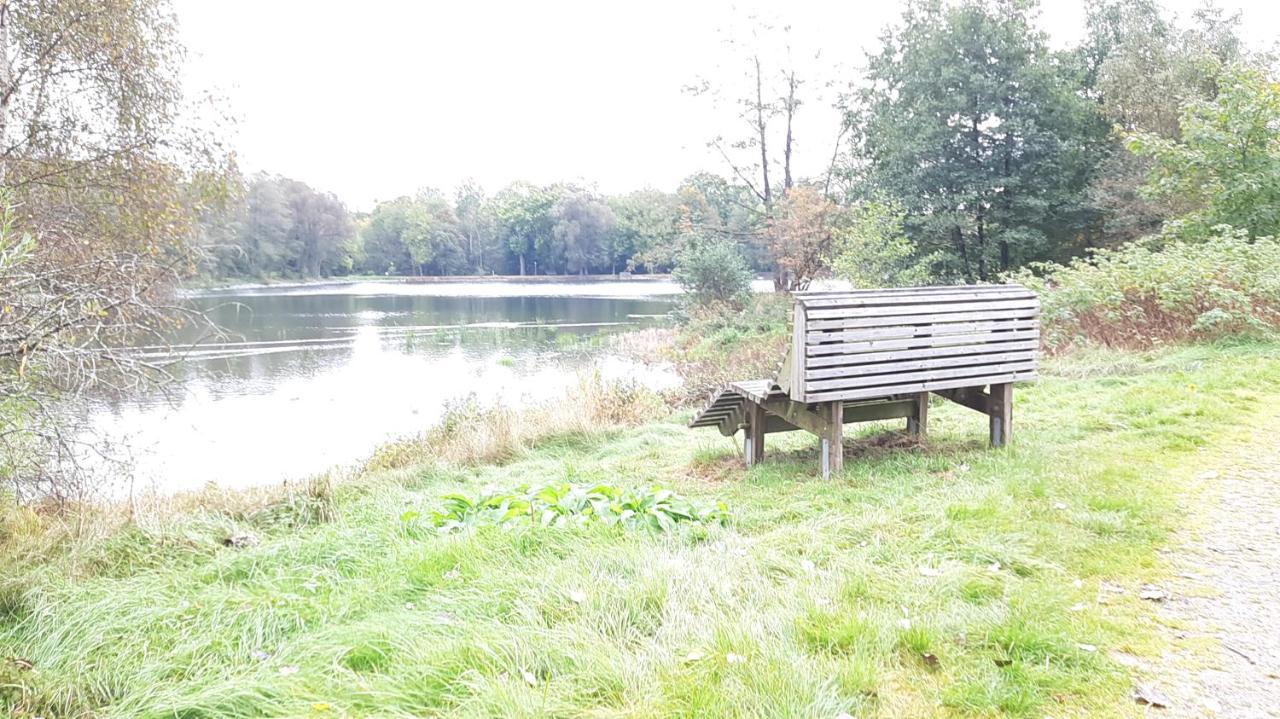 Ferienhaus Am See Lichtenberg Bayern Frankenwaldsee エクステリア 写真